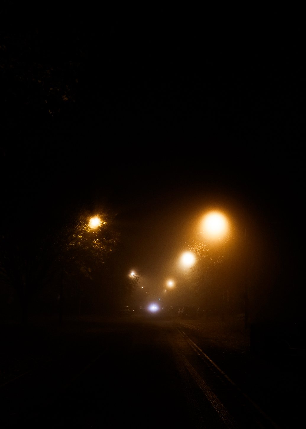 A row of streetlamps glowing through heavy fog on a dark road at night.